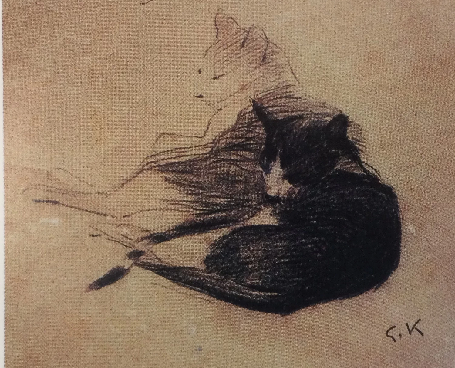 I gatti - Museo Giorgio Kienerk, Fauglia, Pisa